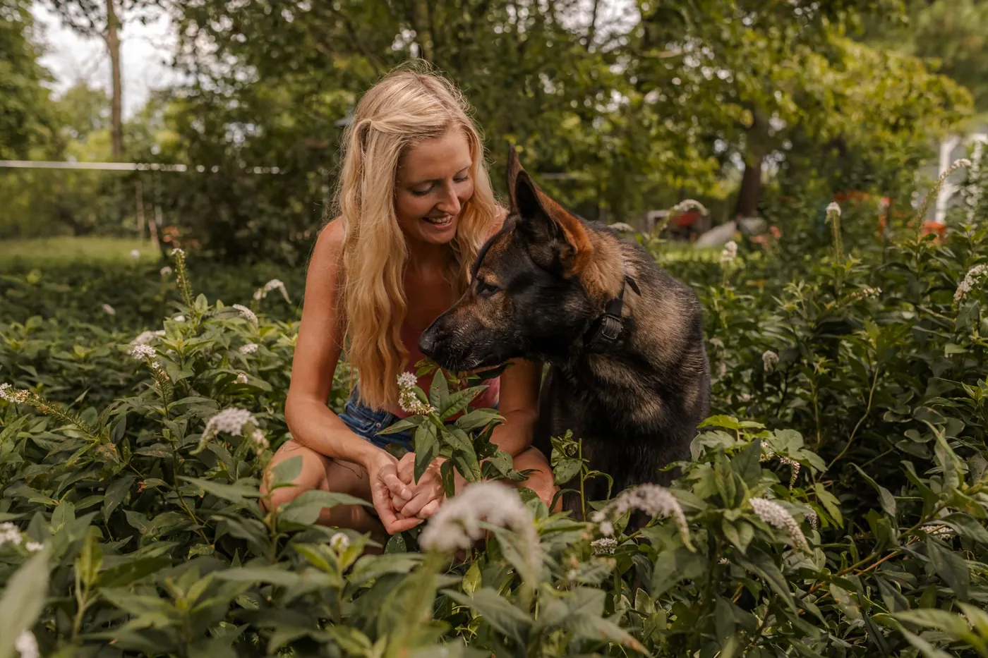 A K9aholics Maryland trainer with a German shepherd on the Eastern Shore